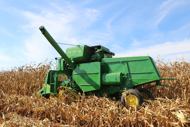 Imagen de un cultivo de maiz, con un tractor verde